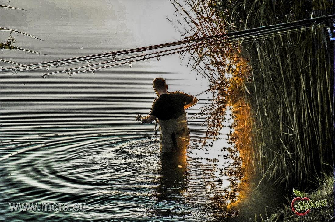 MeetCarp Romanian Awards 2013 (4) - 1016774hdrmode2-2.jpg